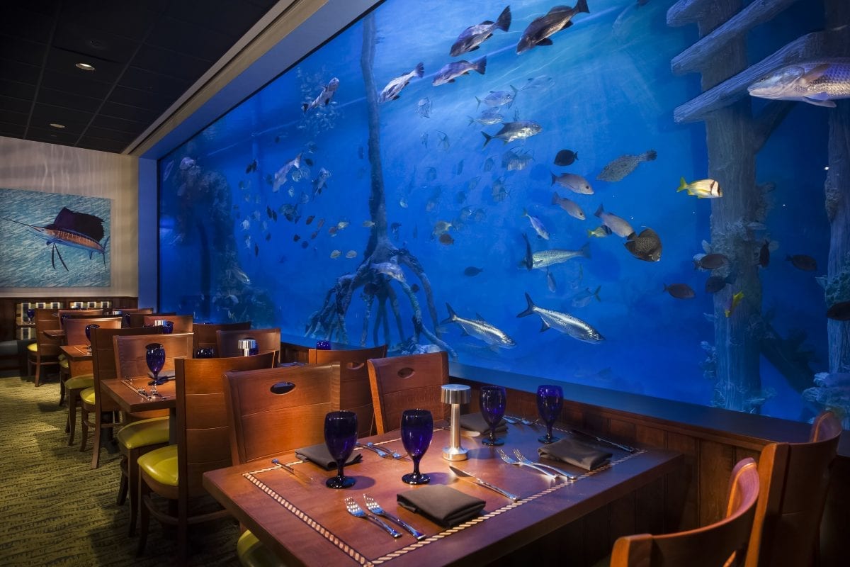 Gallery RumFish Grill